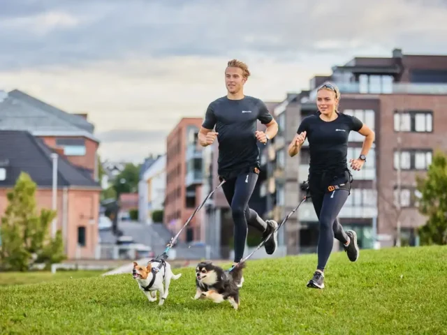 KÜÇÜK KÖPEKLER DE SPORCUDUR!