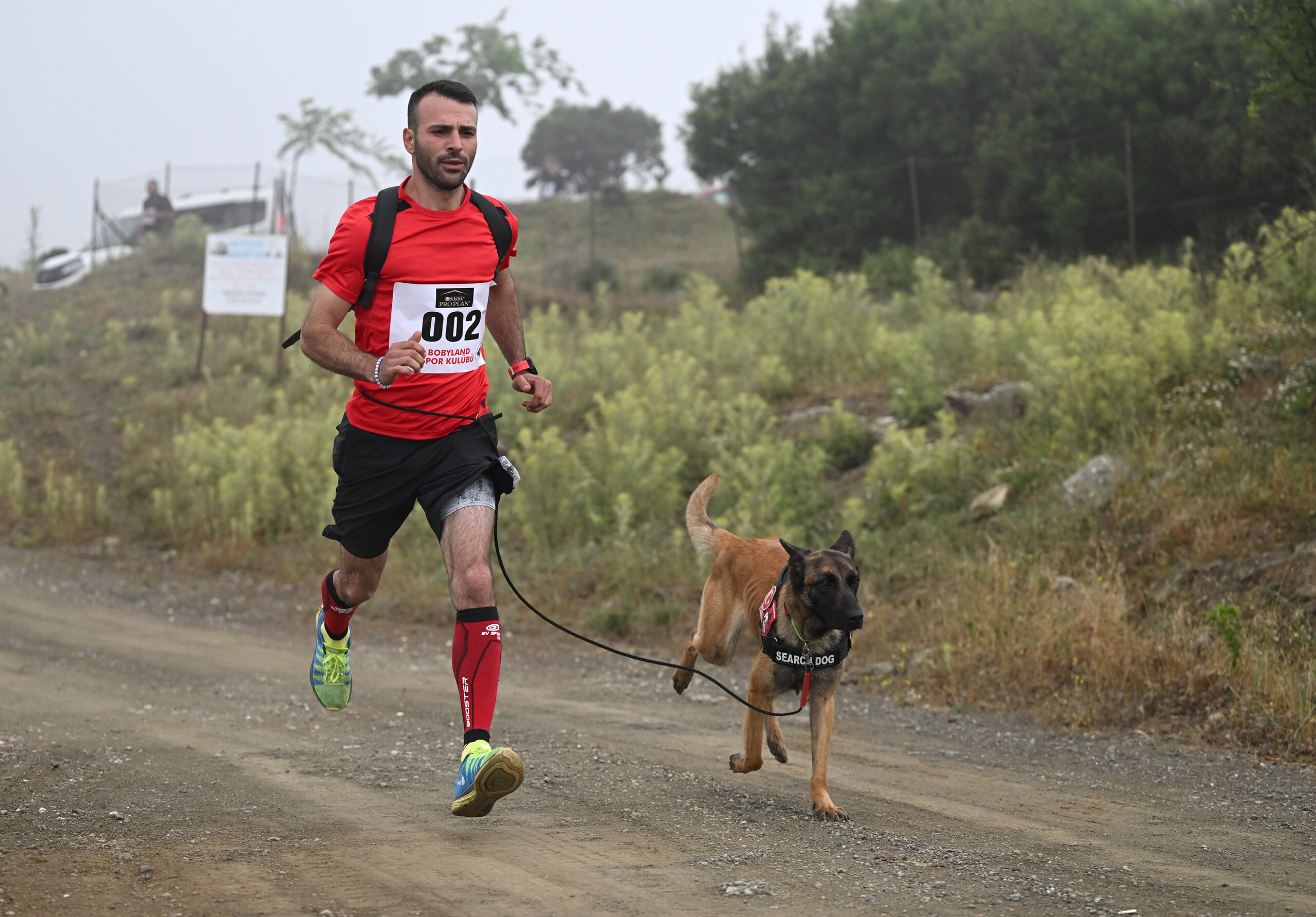 İzmir'in Güzelbahçe ilçesinde köpekle kros (canicross) etkinliği gerçekleştirildi. Yaka Mahallesi'ndeki orman yolunda düzenlenen organizasyonda, 32 köpekle 50'nin üzerinde katılımcı yer aldı. Avrupa'da kızak toplulukları için sezon dışı eğitim olarak ortaya çıkan spor, Birleşik Krallık'ta popüler hale geldi. Katılımcılar, koşum takımı veya kemerle bağladıkları köpekle birlikte belirlenen mesafede süreye karşı koşuyor. ( Mahmut Serdar Alakuş - Anadolu Ajansı )