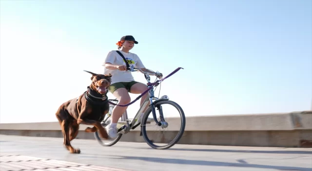 02-06-2024 Canicross ve Bikejoring Yarışmamızın Basın Haberleri