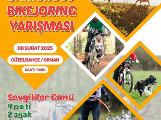 08 Şubat 2025 Sevgililer Günü Koşusu