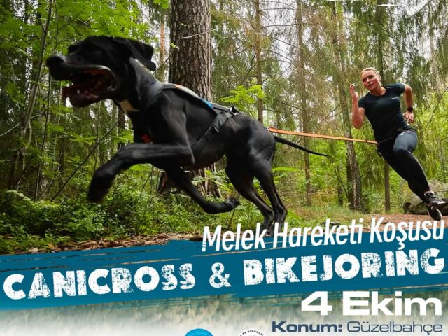 04 Ekim Melek Hareketi Koşusu