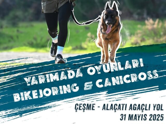 31 Mayıs 2025 Yarımada Oyunları Canicross ve Bikejoring